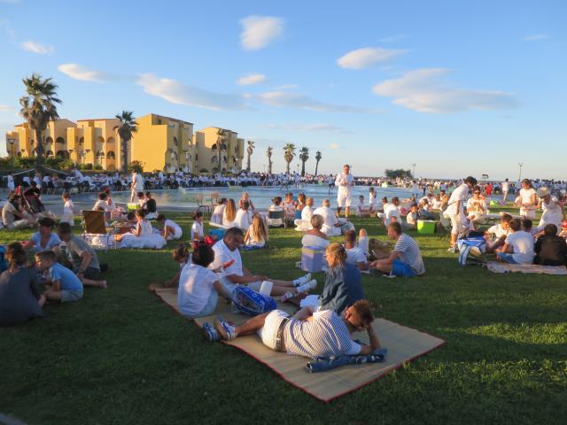 Leucate Nuit Blanche evenementen