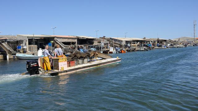 Centre Ostreicole bateau d'ostréiculteur