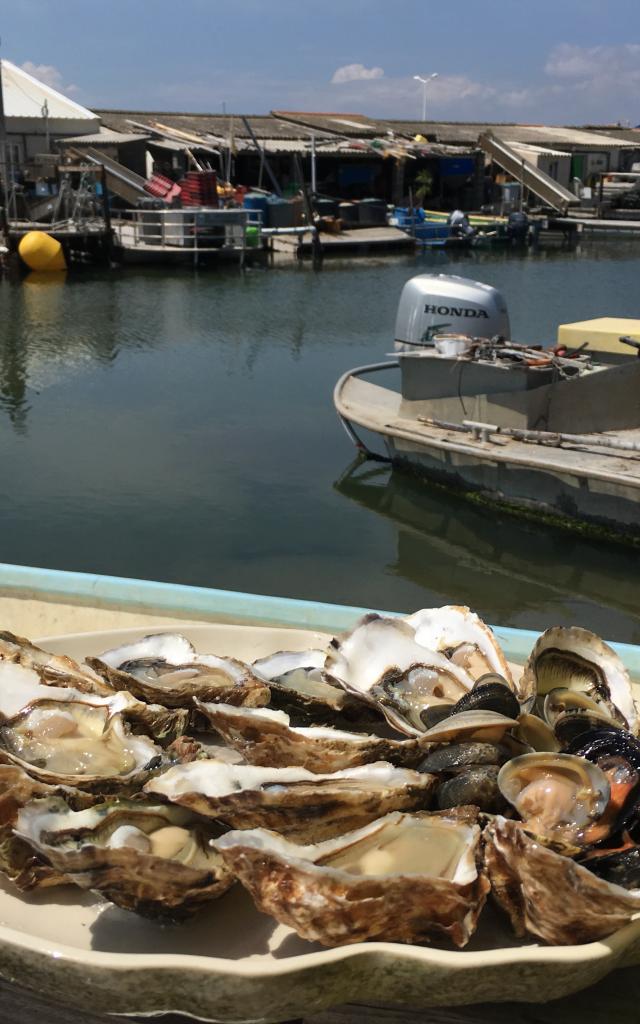 Leucate oester proeverij