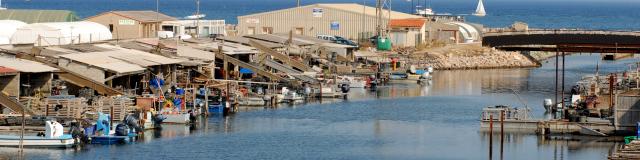 Les Mas du Centre Ostréicole