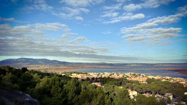 La Franqui van Falaise