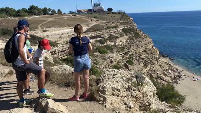 Commentaar wandeling van La Falaise 2